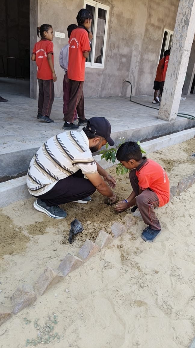PLANTATION IN THE SCHOOL PREMISES - Image 5